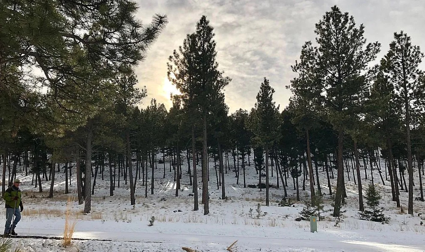 Land For Sale By Owner in Clancy, MT 