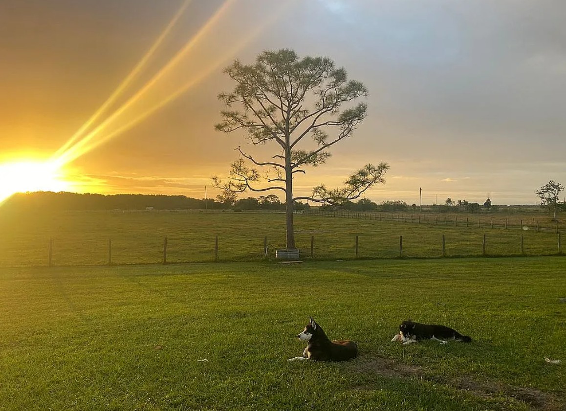 4 Bedroom House For Sale By Owner in Okeechobee, FL 
