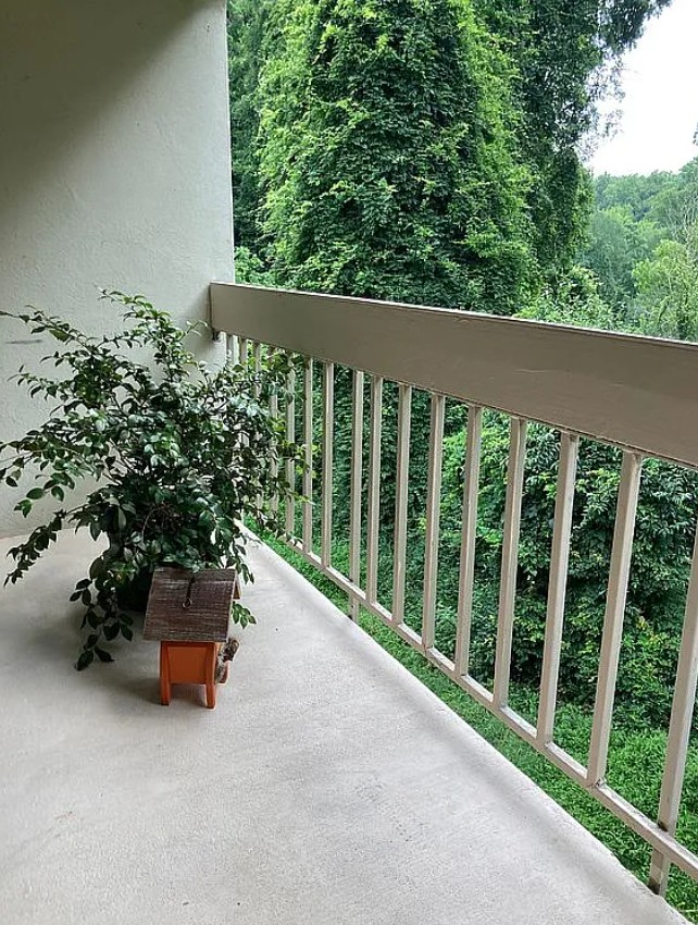3 Bedroom Apartment For Sale By Owner in Chapel Hill, NC 