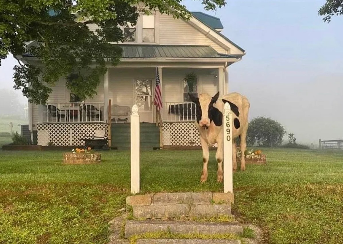 3 Bedroom House For Sale By Owner in Tazewell, VA 