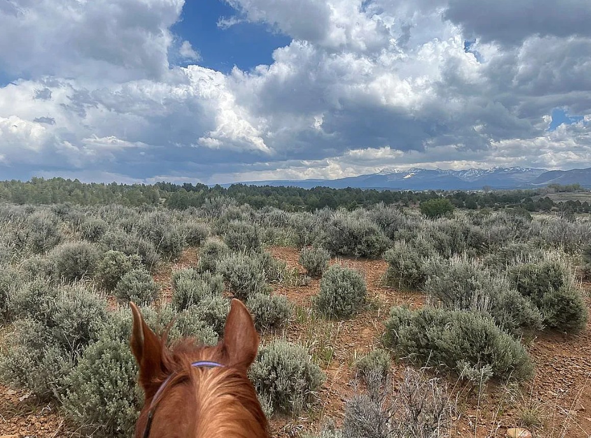 2 Bedroom House For Sale By Owner in Mancos, CO 