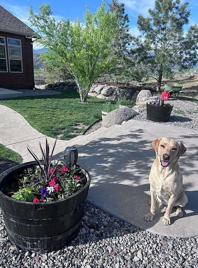 3 Bedroom House For Sale By Owner in Rifle, CO 