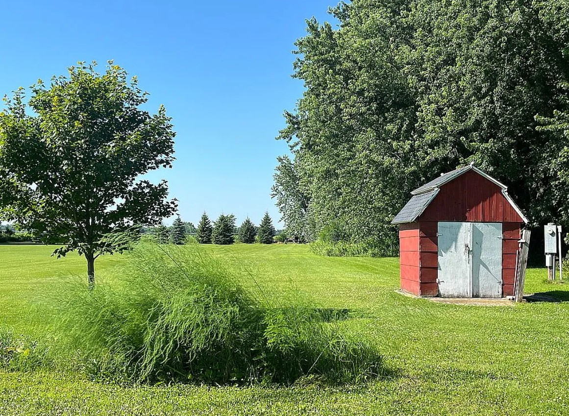 5 Bedroom House For Sale By Owner in Benson, MN 