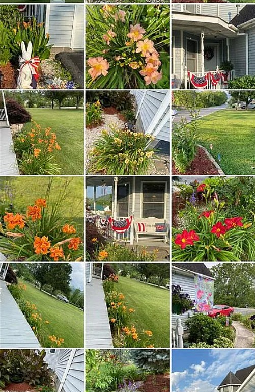 3 Bedroom House For Sale By Owner in Elizabethton, TN 