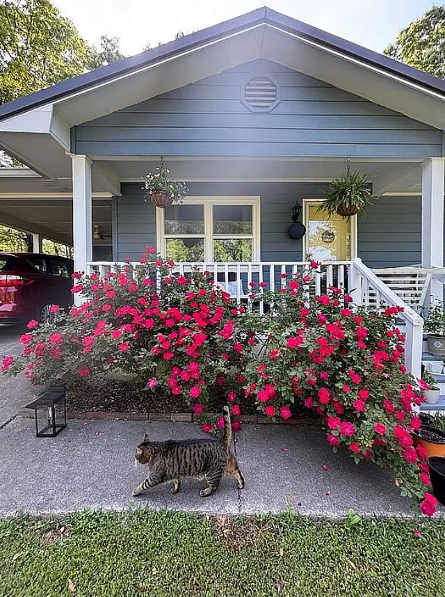 3 Bedroom House For Sale By Owner in Cedartown, GA 