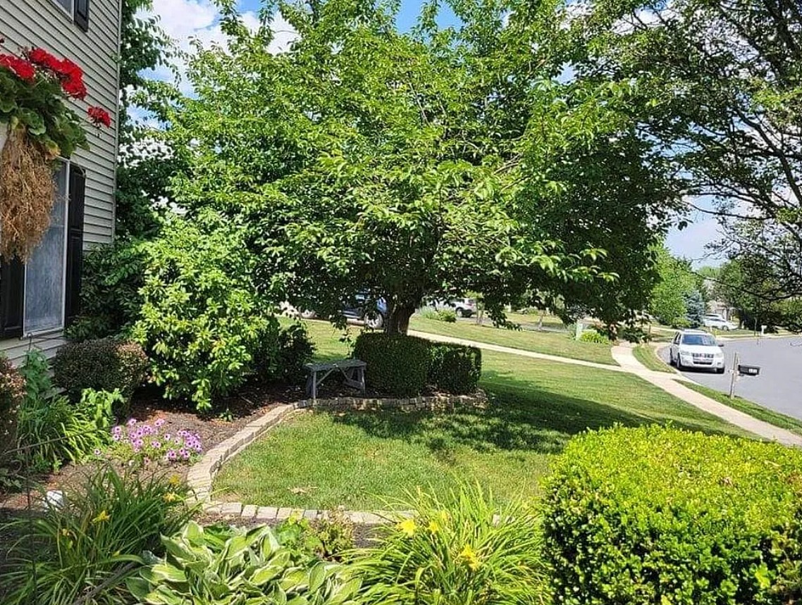 4 Bedroom House For Sale By Owner in Palmyra, PA 