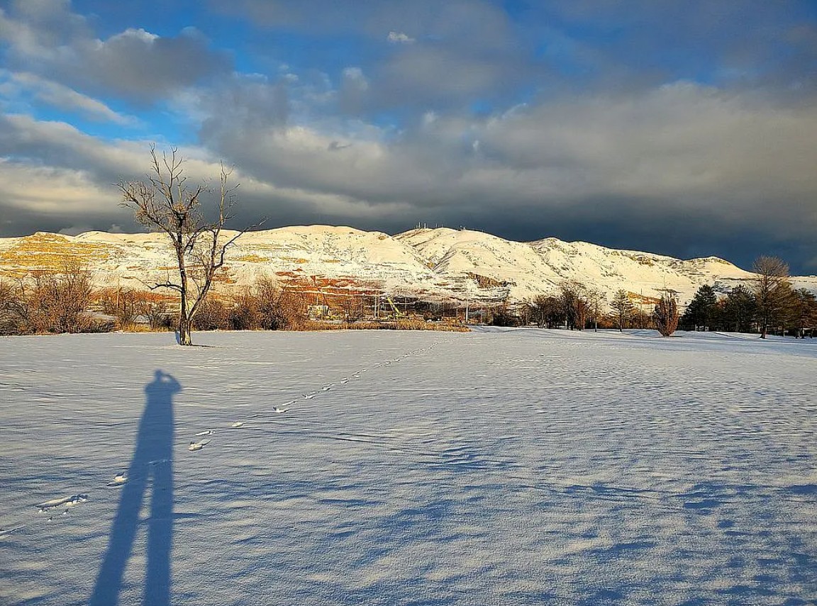 4 Bedroom House For Sale By Owner in Salt Lake City, UT 