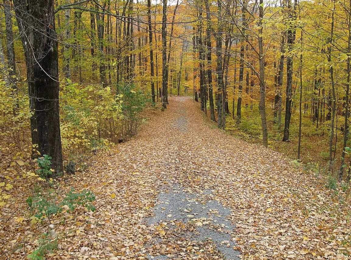 3 Bedroom House For Sale By Owner in Corinth, VT 