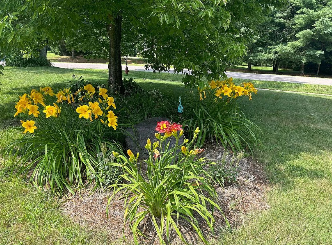 3 Bedroom House For Sale By Owner in Milton, VT 