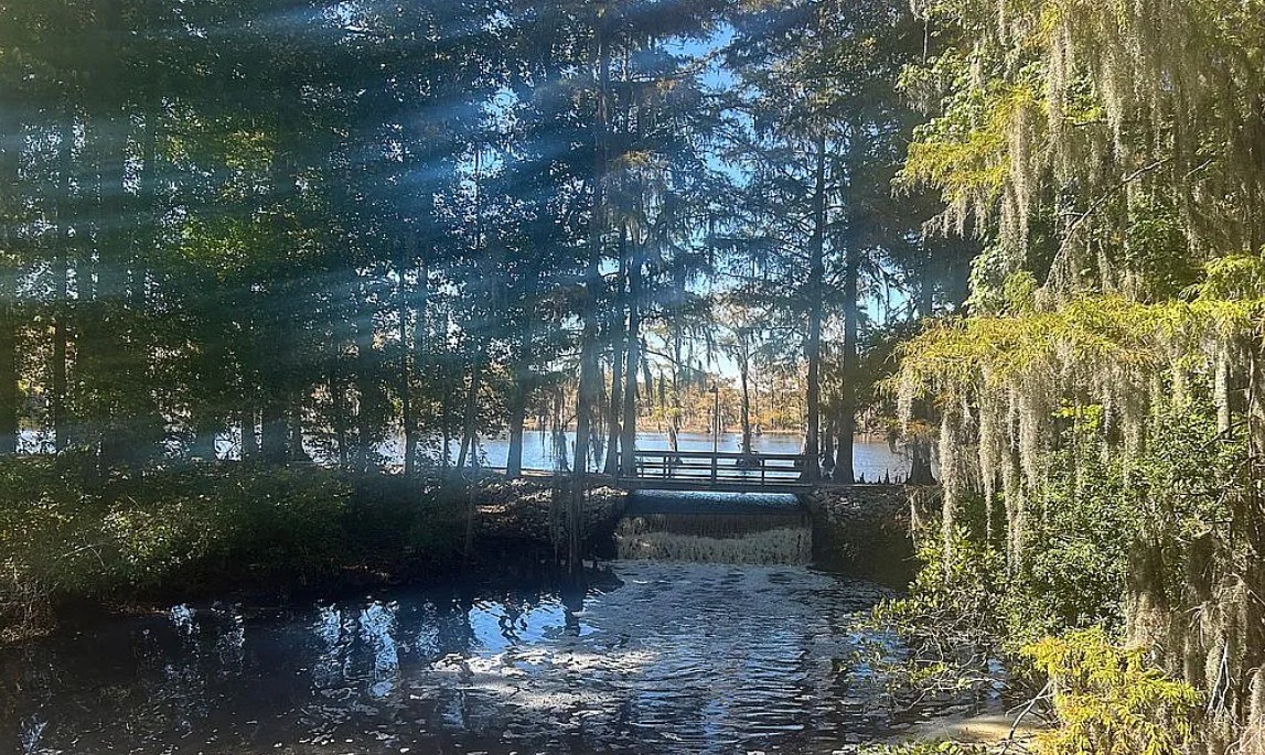 3 Bedroom House For Sale By Owner in Lake View, SC 