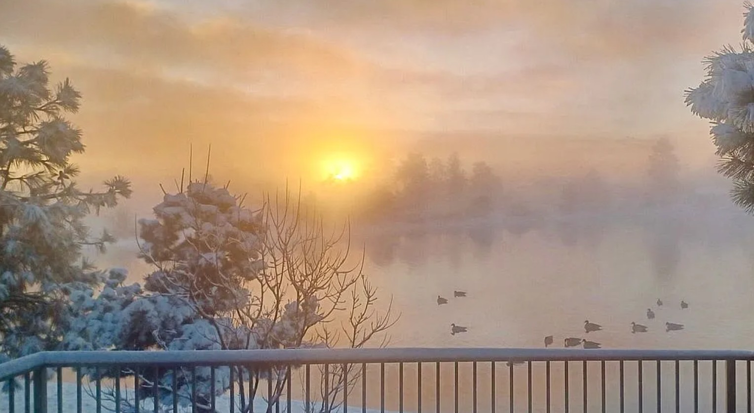 2 Bedroom House For Sale By Owner in Payson, AZ 