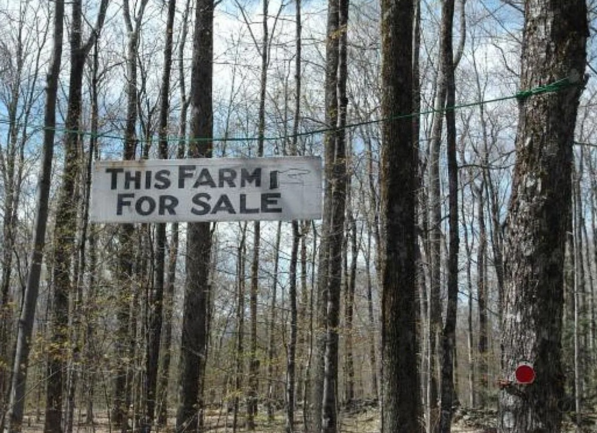 20 Acres of Farm Land For Sale By Owner in Peru, VT 