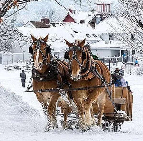 3 Bedroom Townhome For Sale By Owner in Quechee, VT 