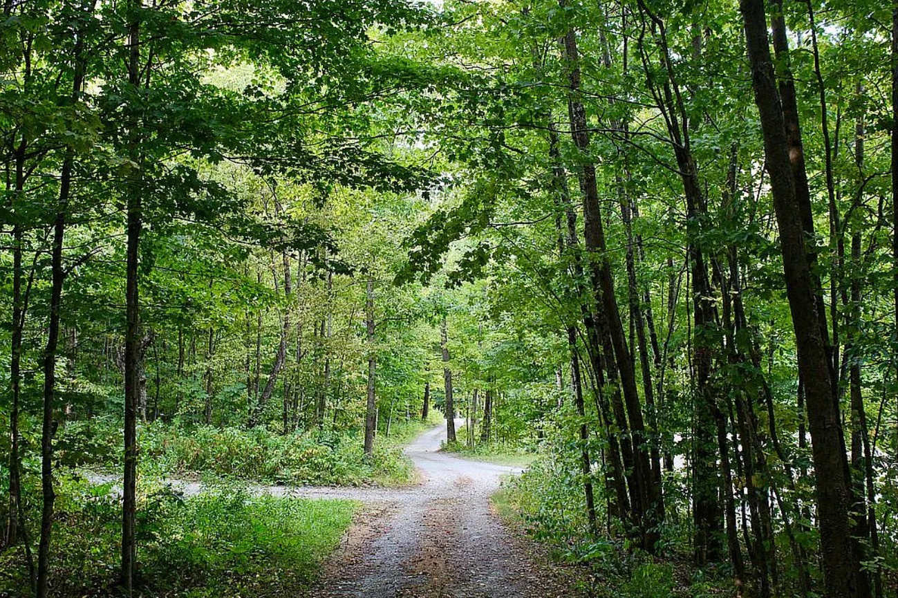 Farm and Land For Sale By Owner in West Pawlet, VT 