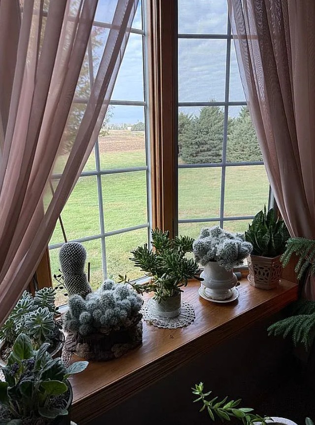 3 Bedroom House For Sale By Owner in Inwood, IA 