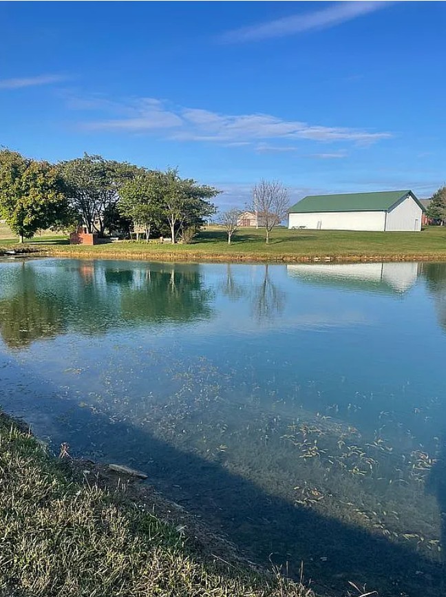 4 Bedroom House For Sale By Owner in Wallingford, KY 