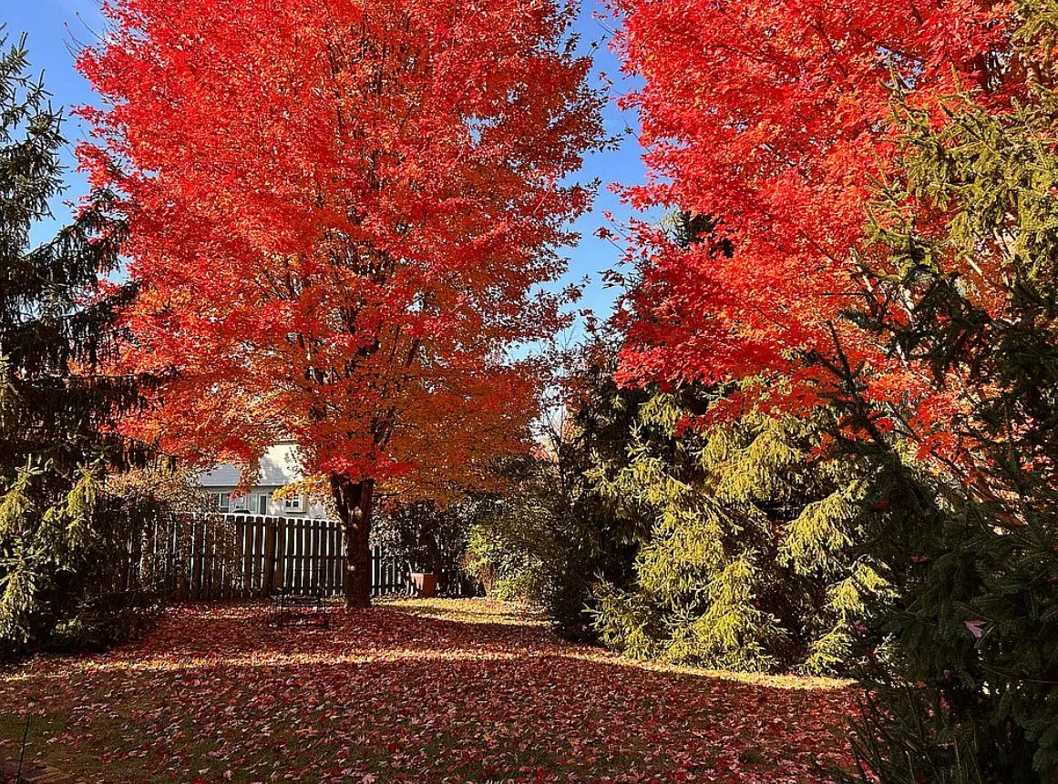 3 Bedroom House For Sale By Owner in Midway, KY 