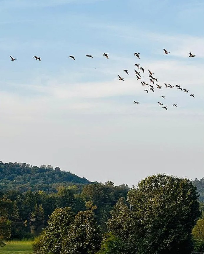 3 Bedroom House For Sale By Owner in Dardanelle, AR 