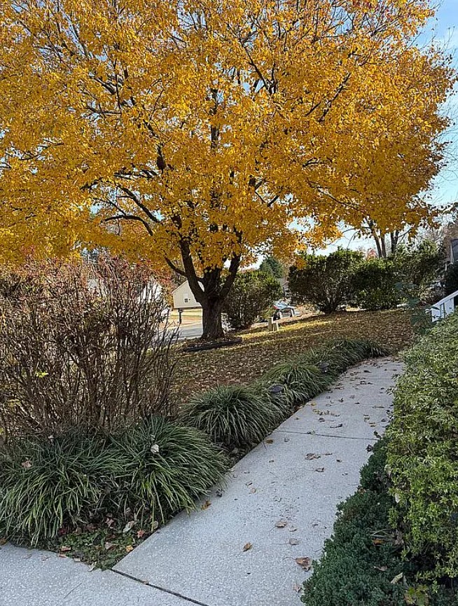 3 Bedroom House For Sale By Owner in Rock Hill, SC 