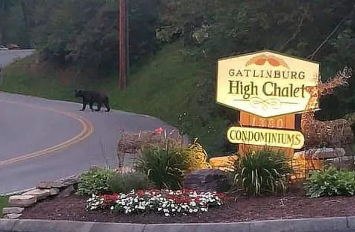 High Chalet Condo For Sale By Owner in Gatlinburg, TN 