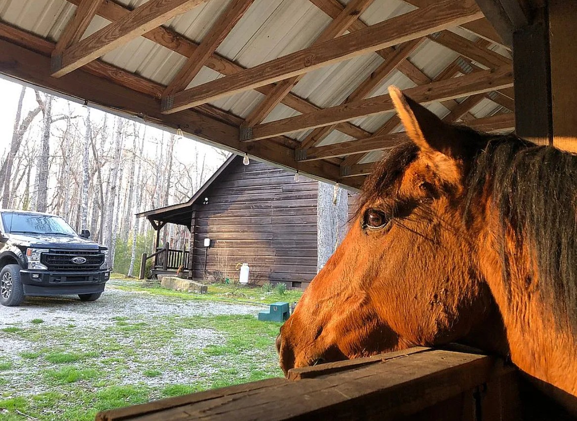 Wilderness Resort Horse Property FSBO in Oneida, TN 