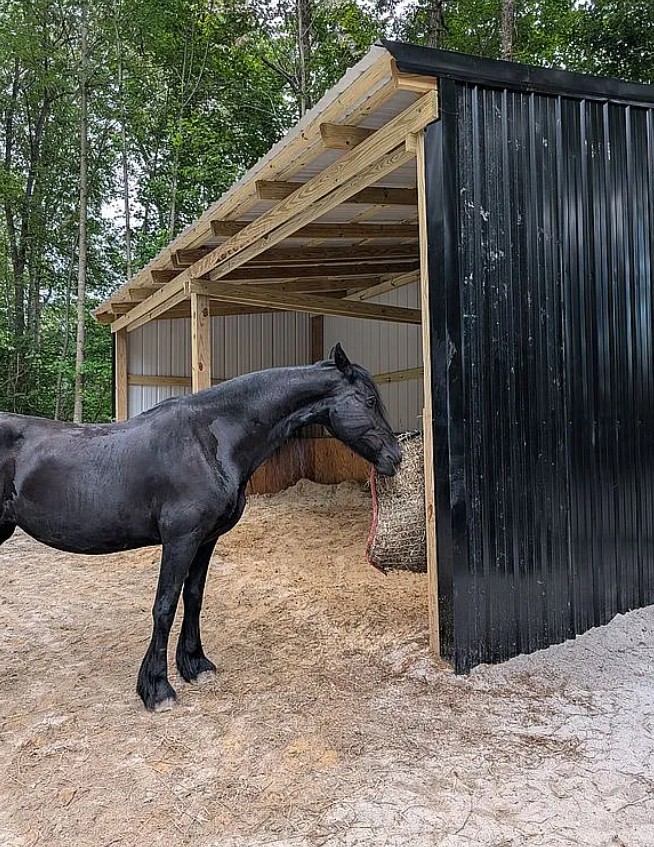 3 Bedroom House For Sale By Owner in Jamestown, TN 