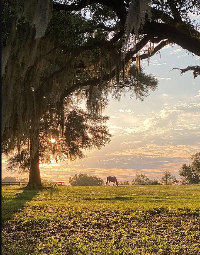 5 Bedroom House For Sale By Owner in Malone, FL 