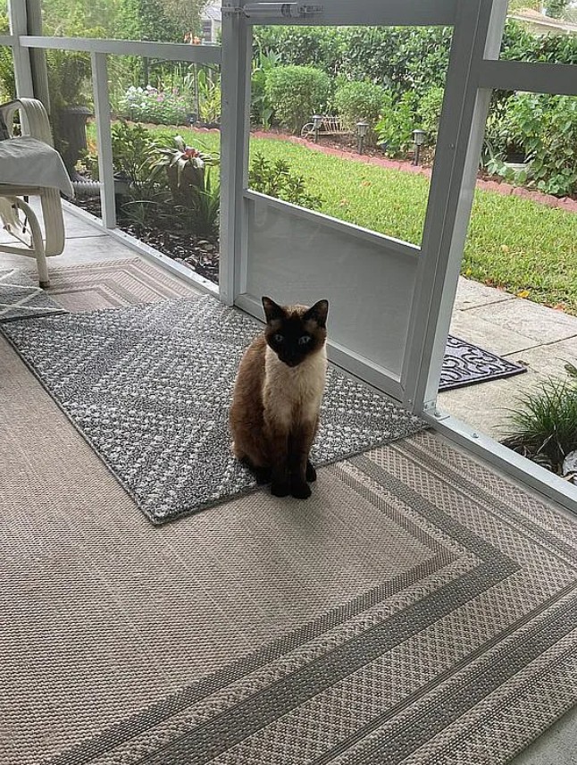 3 Bedroom House For Sale By Owner in Lake City, FL 