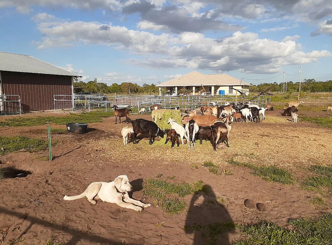 Farm and Land For Sale By Owner in Venus, FL 