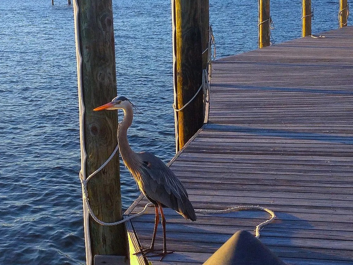 Waterfront Condo For Sale By Owner in Perdido Key, FL 