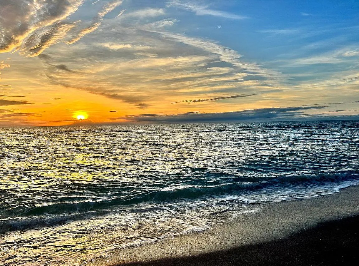 4 Bedroom House For Sale By Owner in Sarasota, FL 