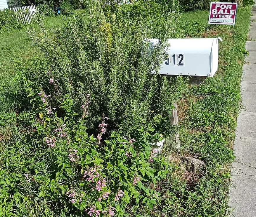 3 Bedroom House For Sale By Owner in New Smyrna Beach, FL 