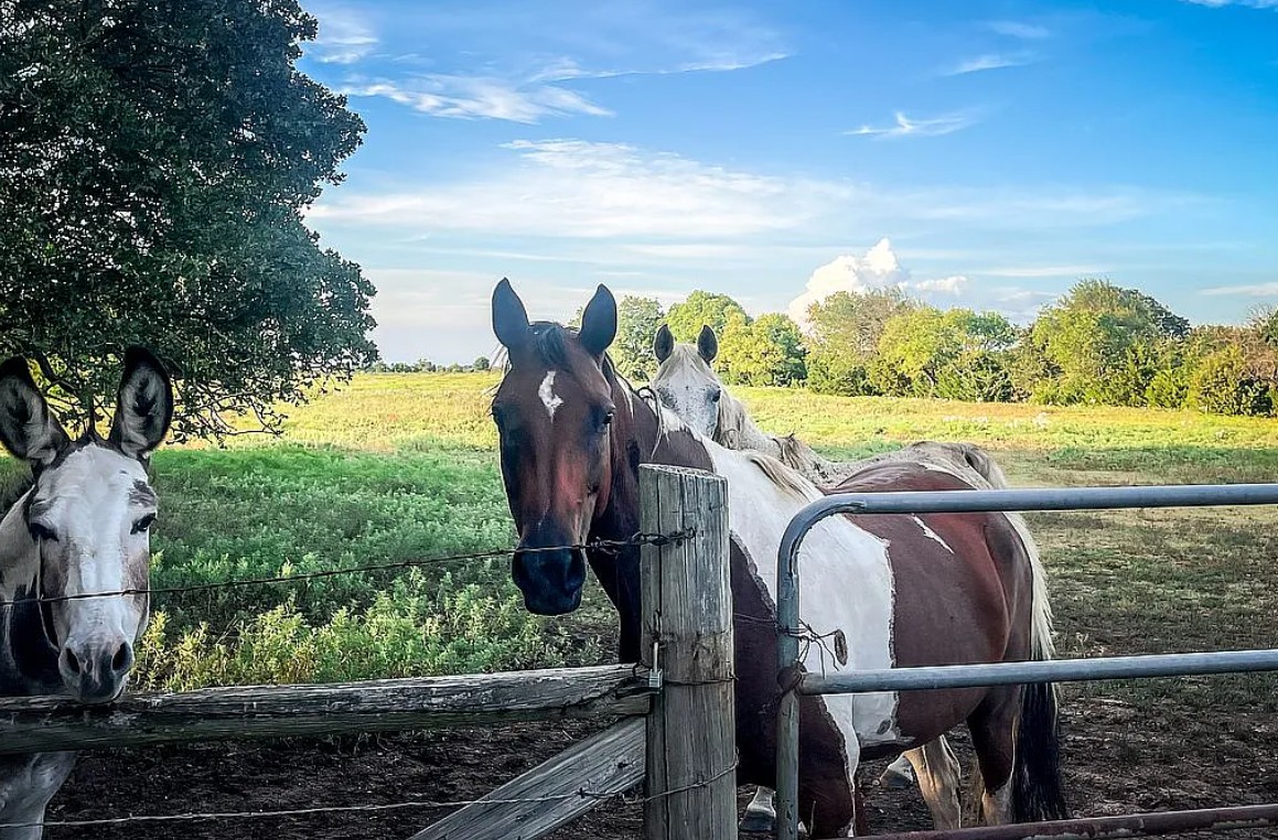 2 Bedroom Home and Land For Sale By Owner in Sulphur, OK 