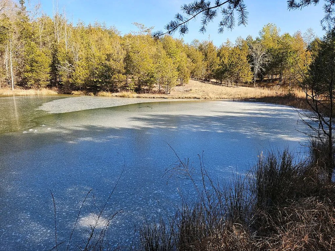 Hunting Land For Sale By Owner in Bulls Gap, TN 