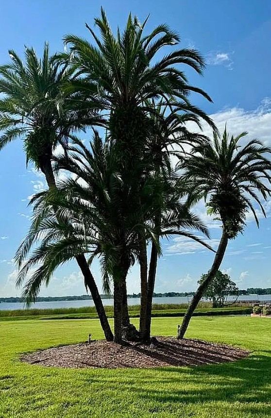 Mobile Home For Sale By Owner in Winter Haven, FL