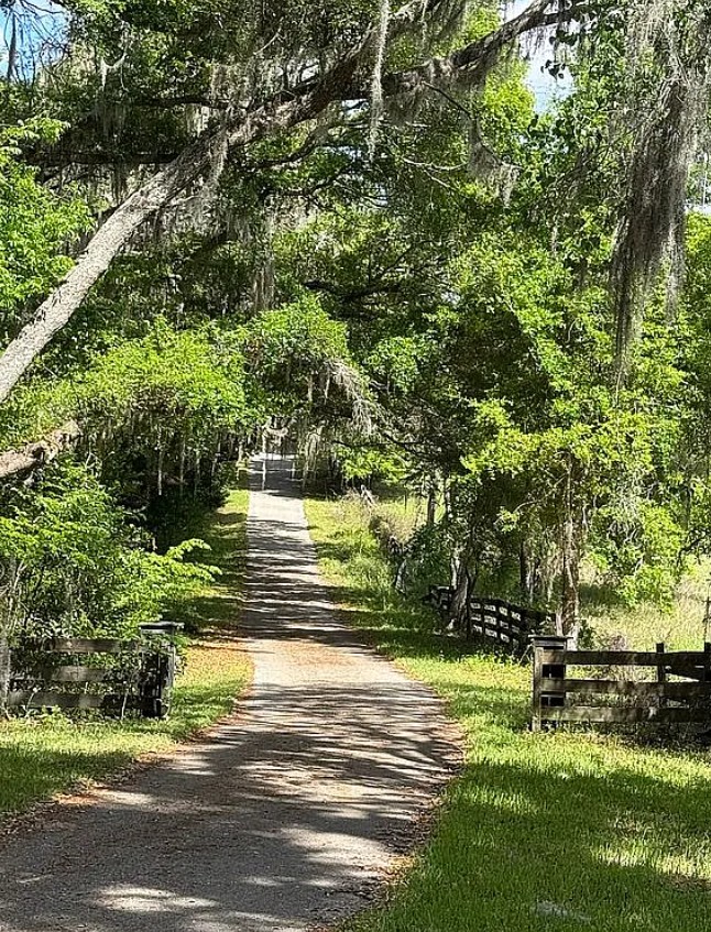 4 Bedroom House For Sale By Owner in Alachua, FL 