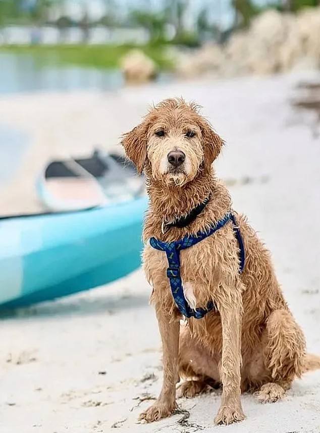 3 Bedroom Townhouse For Sale By Owner in Port Saint Joe, FL 