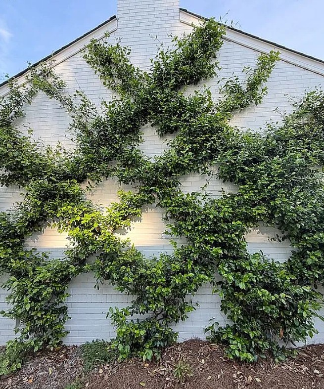 3 Bedroom House For Sale By Owner in Sylacauga, AL 