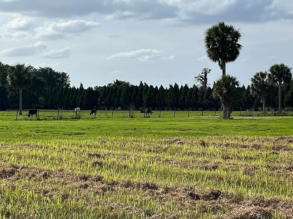 Home and Land For Sale By Owner in Kenansville, FL 