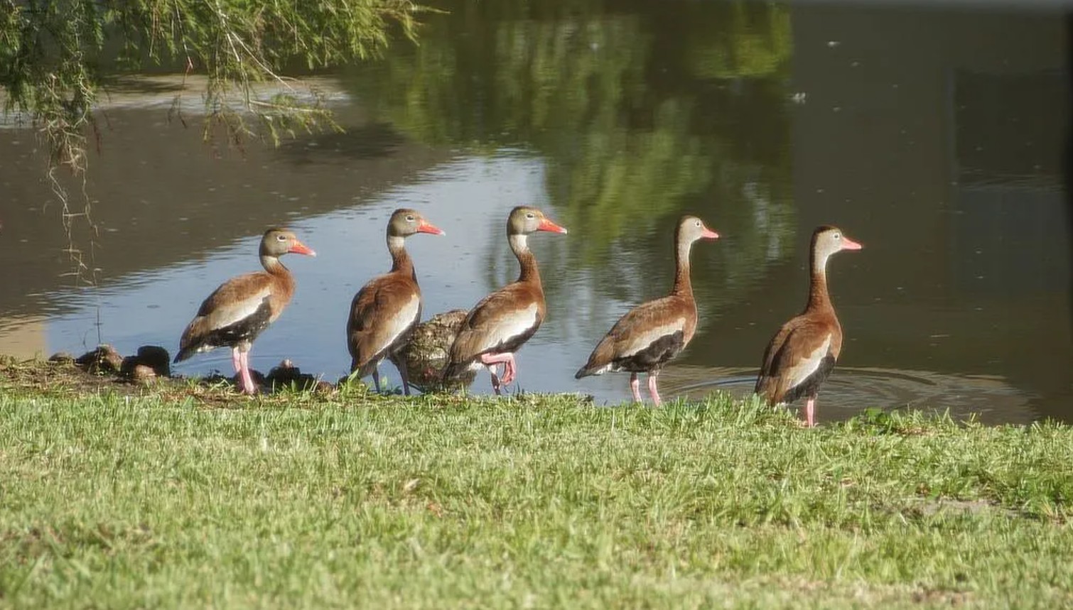 3 Bedroom House For Sale By Owner in Winter Haven, FL 