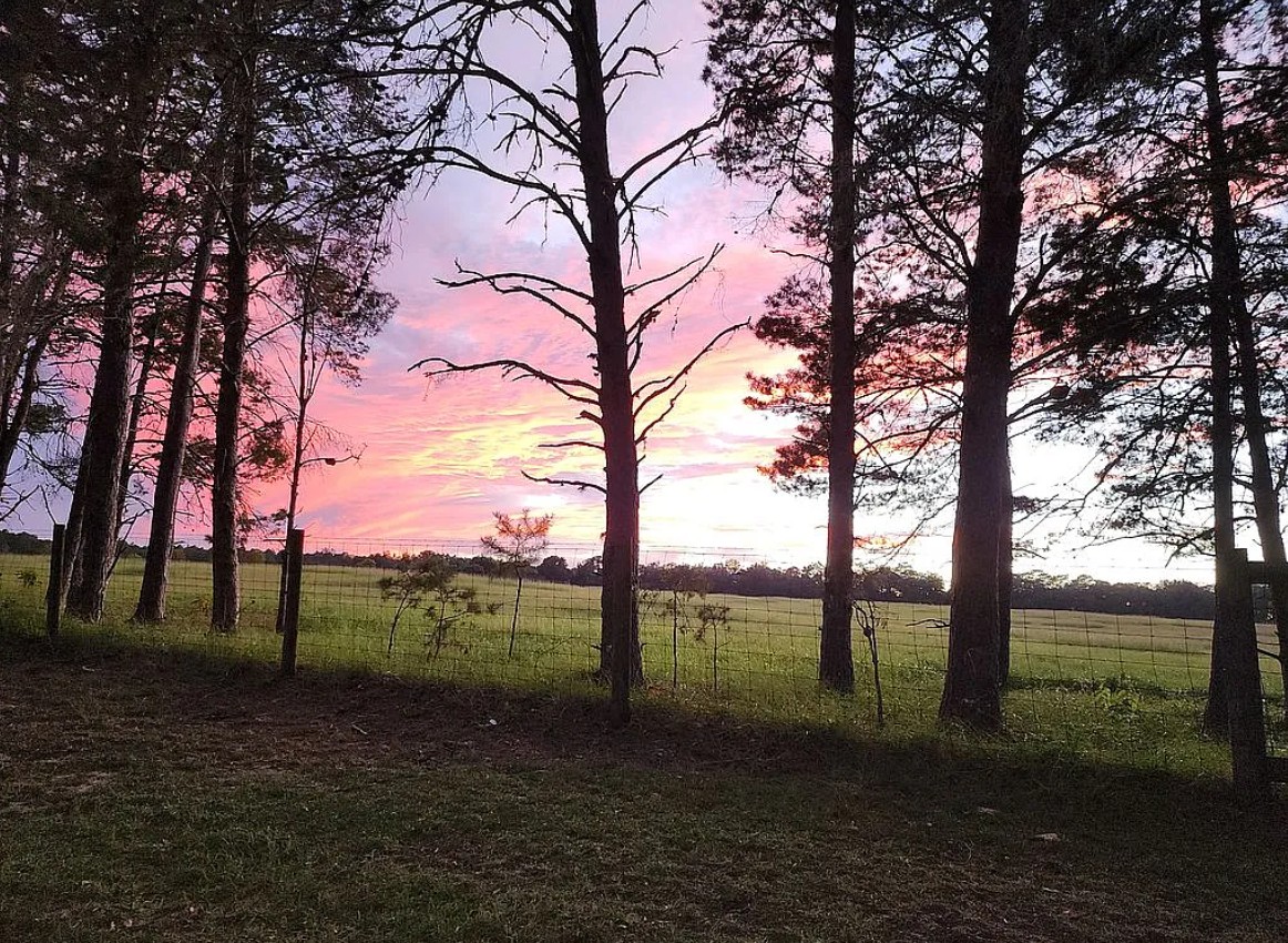 Home With Land For Sale By Owner in Floral City, FL 