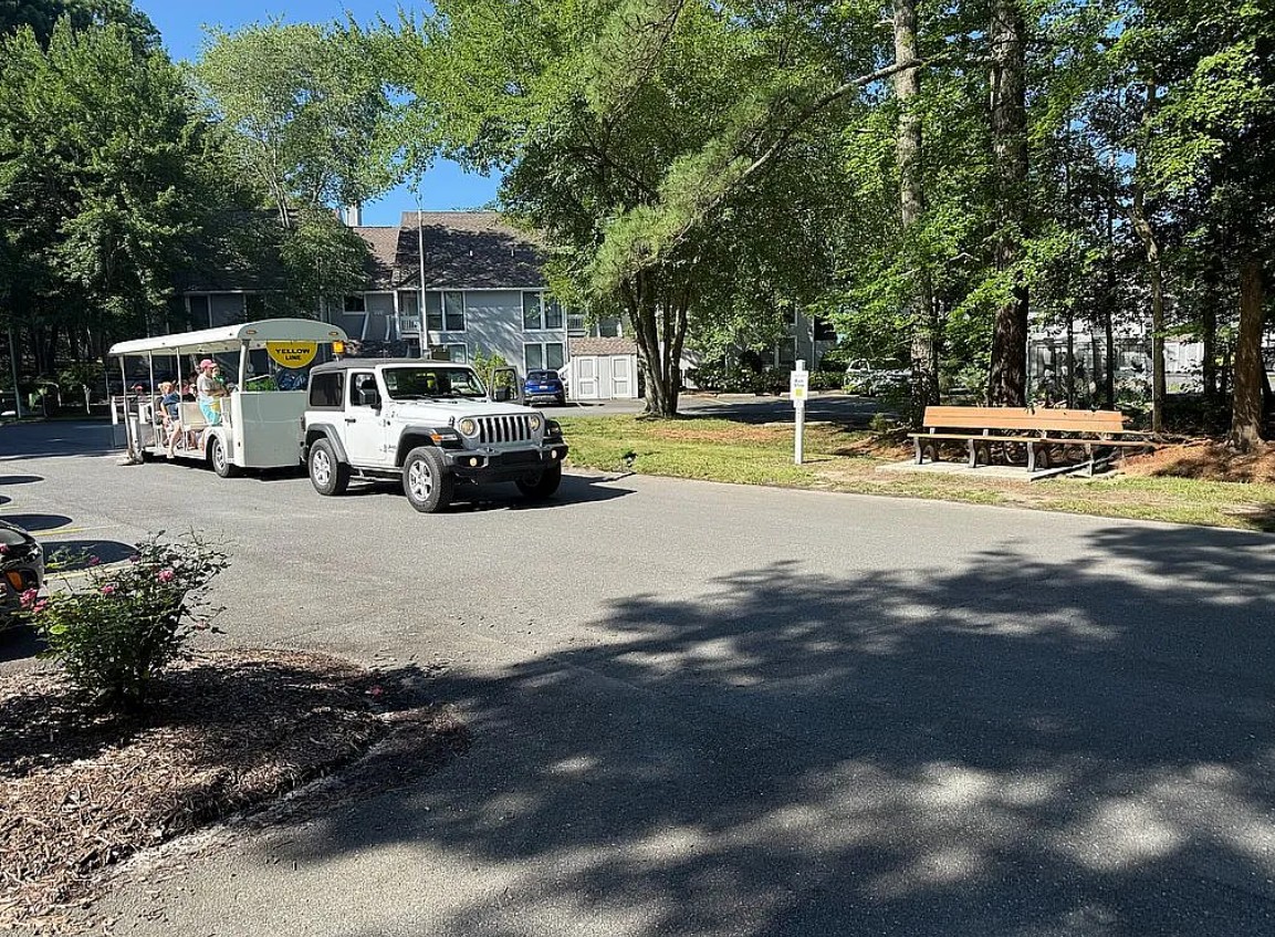 3 Bedroom House For Sale By Owner in Bethany Beach, DE 