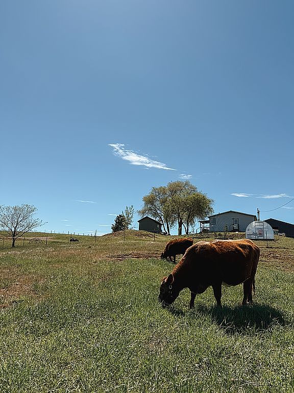 Farm and Land For Sale By Owner in Mesa, ID 