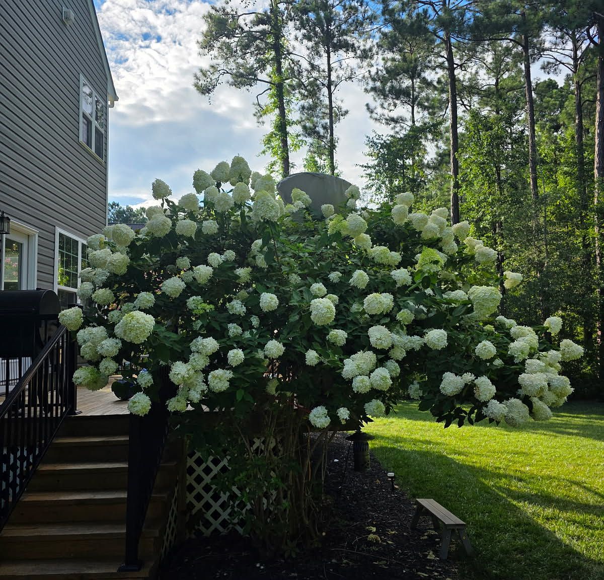 6 Bedroom House For Sale By Owner in Ashland, VA 
